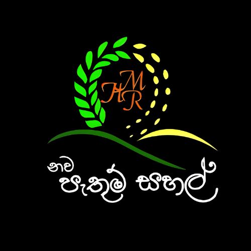 Rice Product